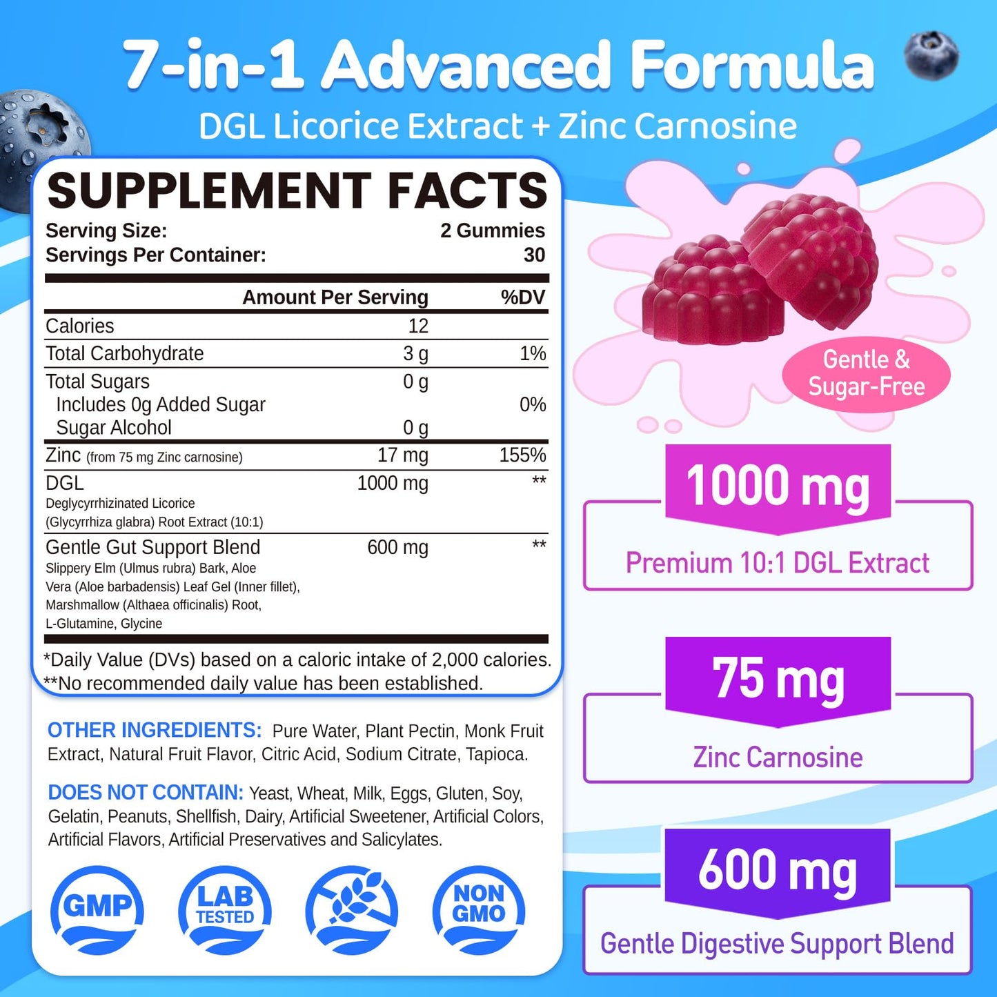NATISLAND DGL & Zinc Carnosine Gummies, 60 Count