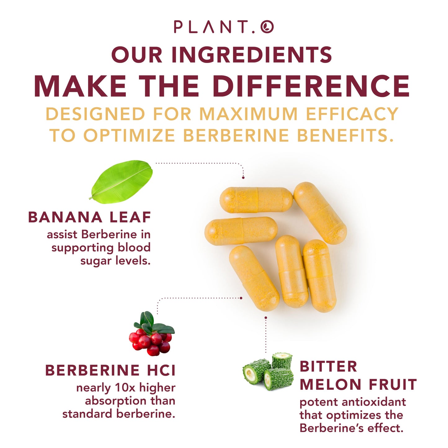 PLANT.O NUTRITION Berberine Supplement - 10xHigher Absorption Berberine HCI Complex with Bitter Lemon & Banaba Leaf - Cholesterol & Metabolic Clinically Researched Support, Non-GMO, 60 Capsules