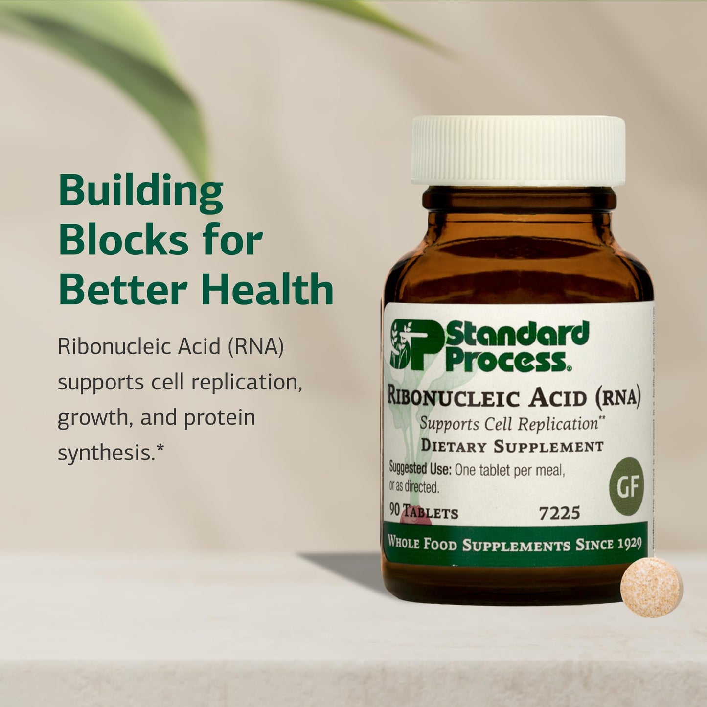 Standard Process Inc. Ribonucleic Acid RNA, Cell Development Support Tablets, 90 Count