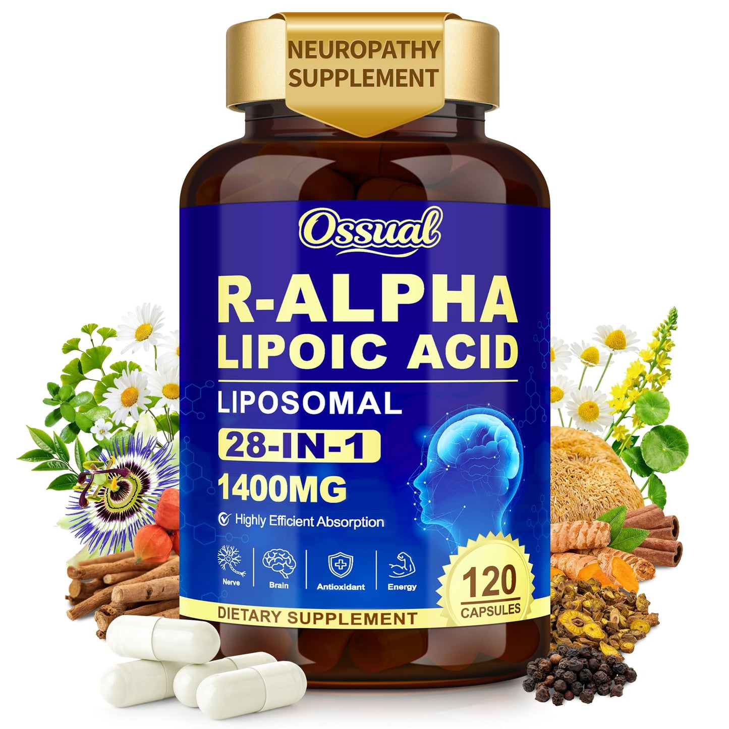 Ossual R Alpha Lipoic Acid 1400mg Neuropathy Supplements, 28-in-1 Stabilized ALA with L-Carnitine, NAC & Benfotiamine, R-ALA Antioxidant for Nerve, Brain, Energy, Vegan, 120 Capsules
