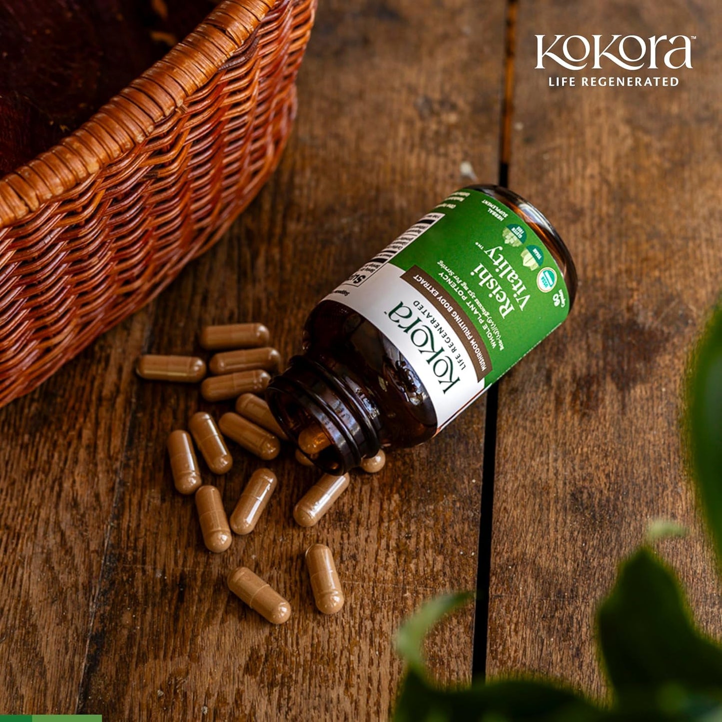 Kokora Reishi Vitality Organic Adaptogenic Mushroom Capsules with Beta Glucans & Ashwagandha, Vegan, Non-GMO, 60 Capsules