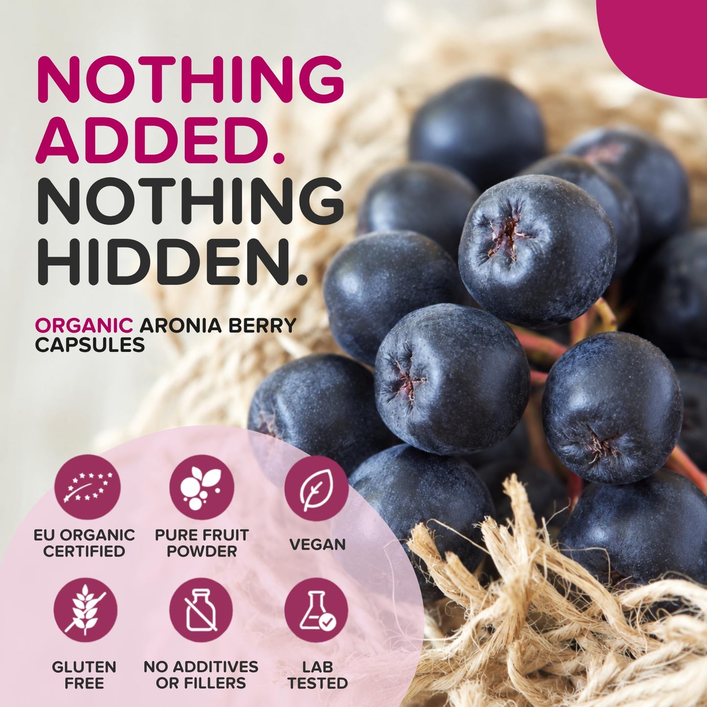 b Aronia Berry Capsules 90 Capsules