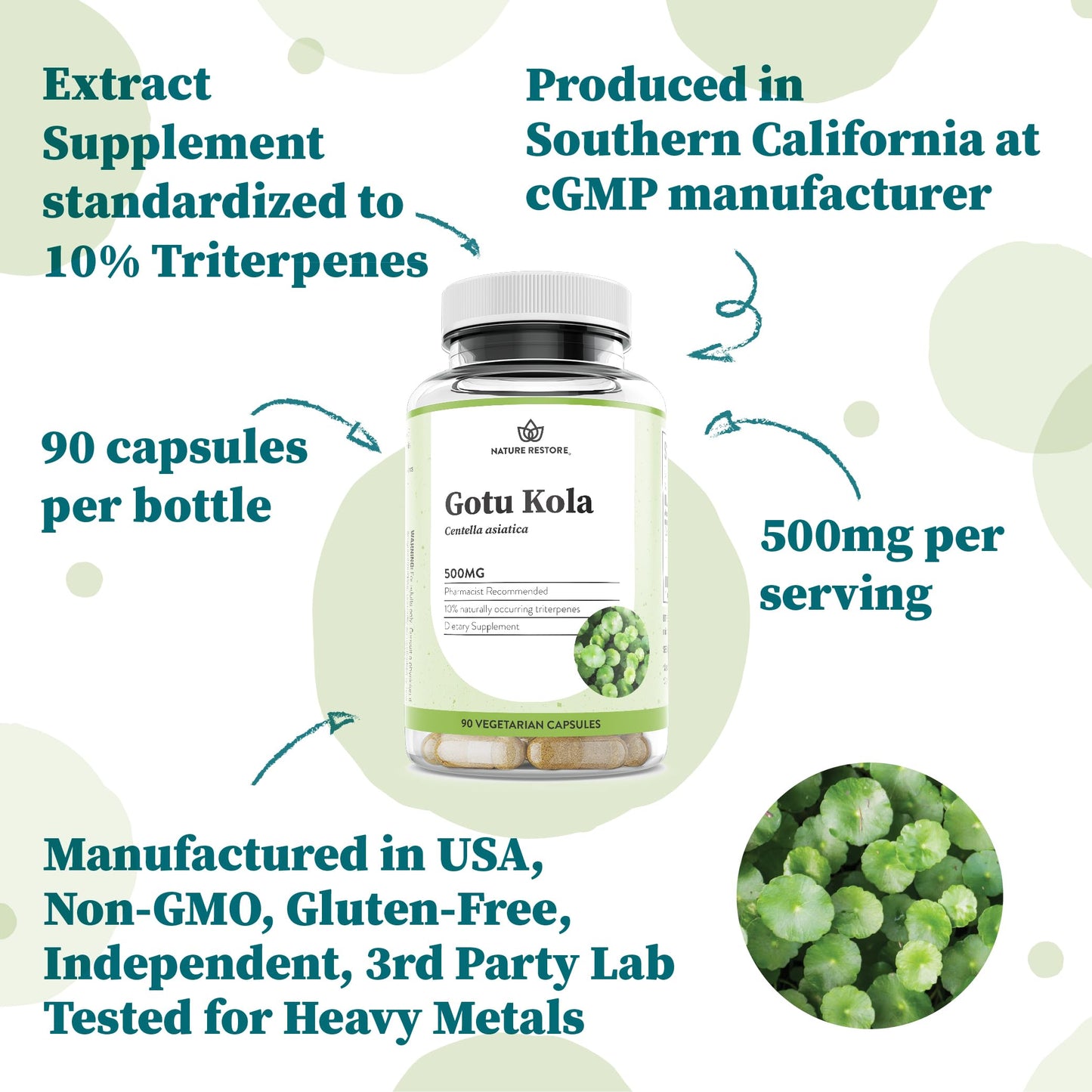 Nature Restore Gotu Kola Extract Supplement, 90 Capsules
