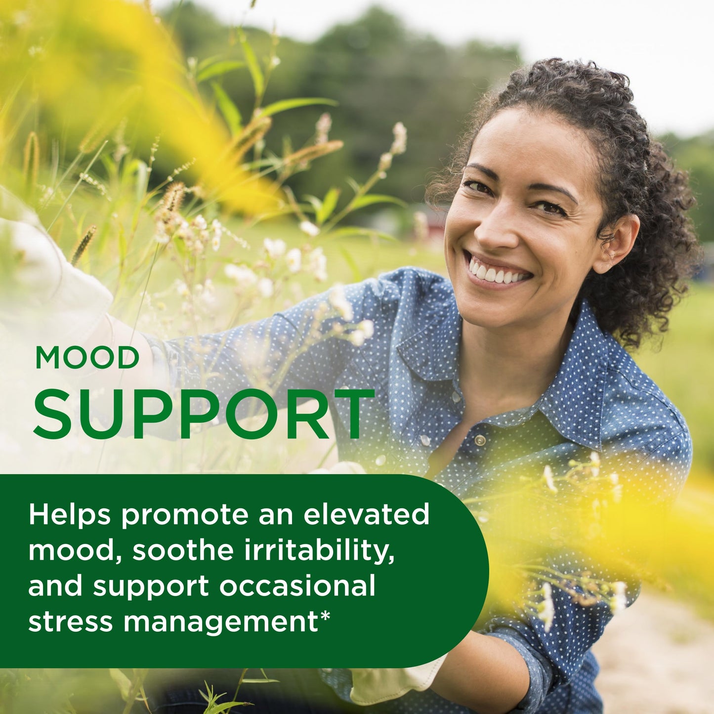 Emerald Labs Elevated Mood - Stress Management Supplement with Sensoril Ashwagandha Extract & Affron Saffron Extract, 60 Capsules