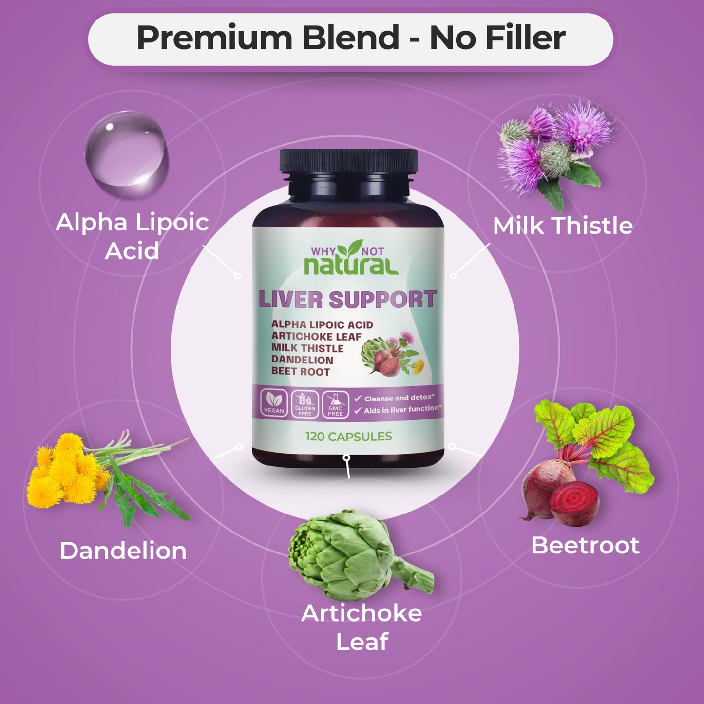 Why Not Natural 5-in-1 Liver Health Formula with Milk Thistle, 120 Capsules