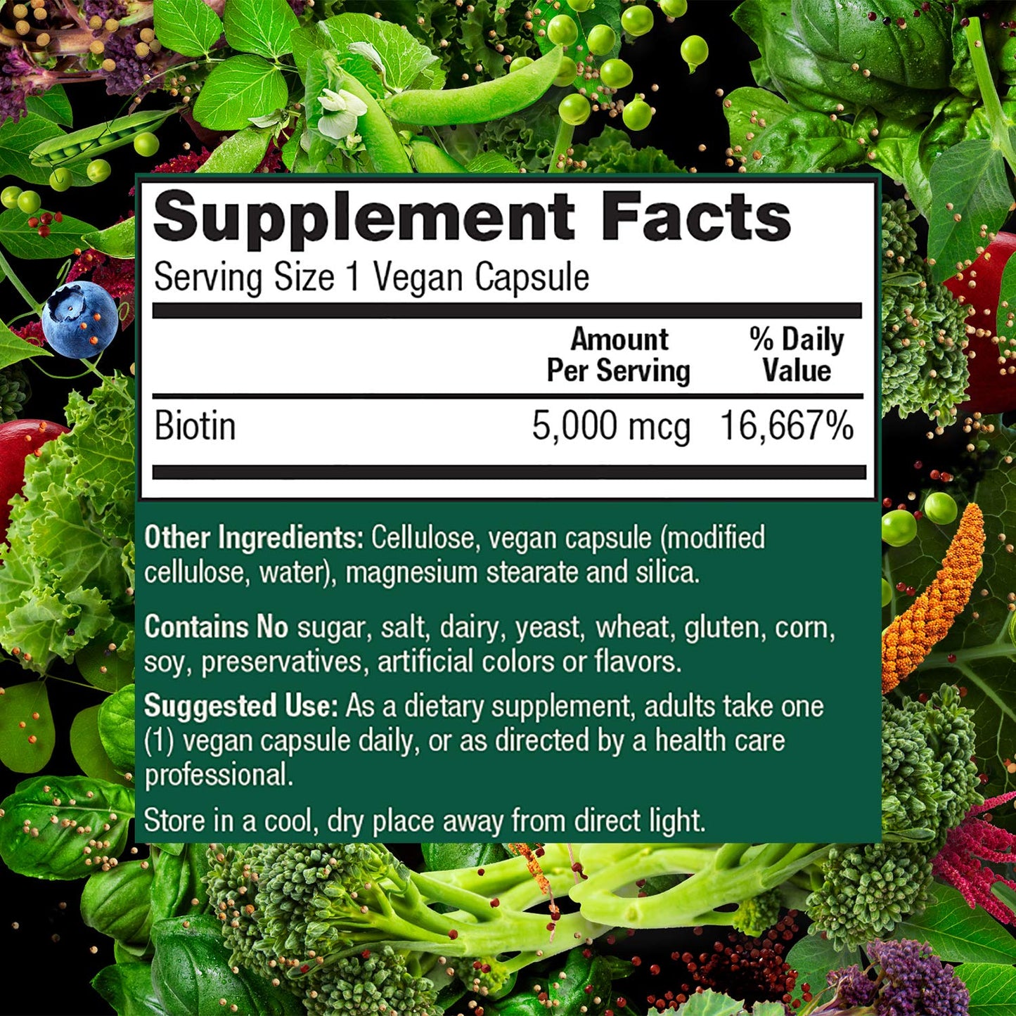 PlantFusion Vegan Biotin Capsule 120 Capsules