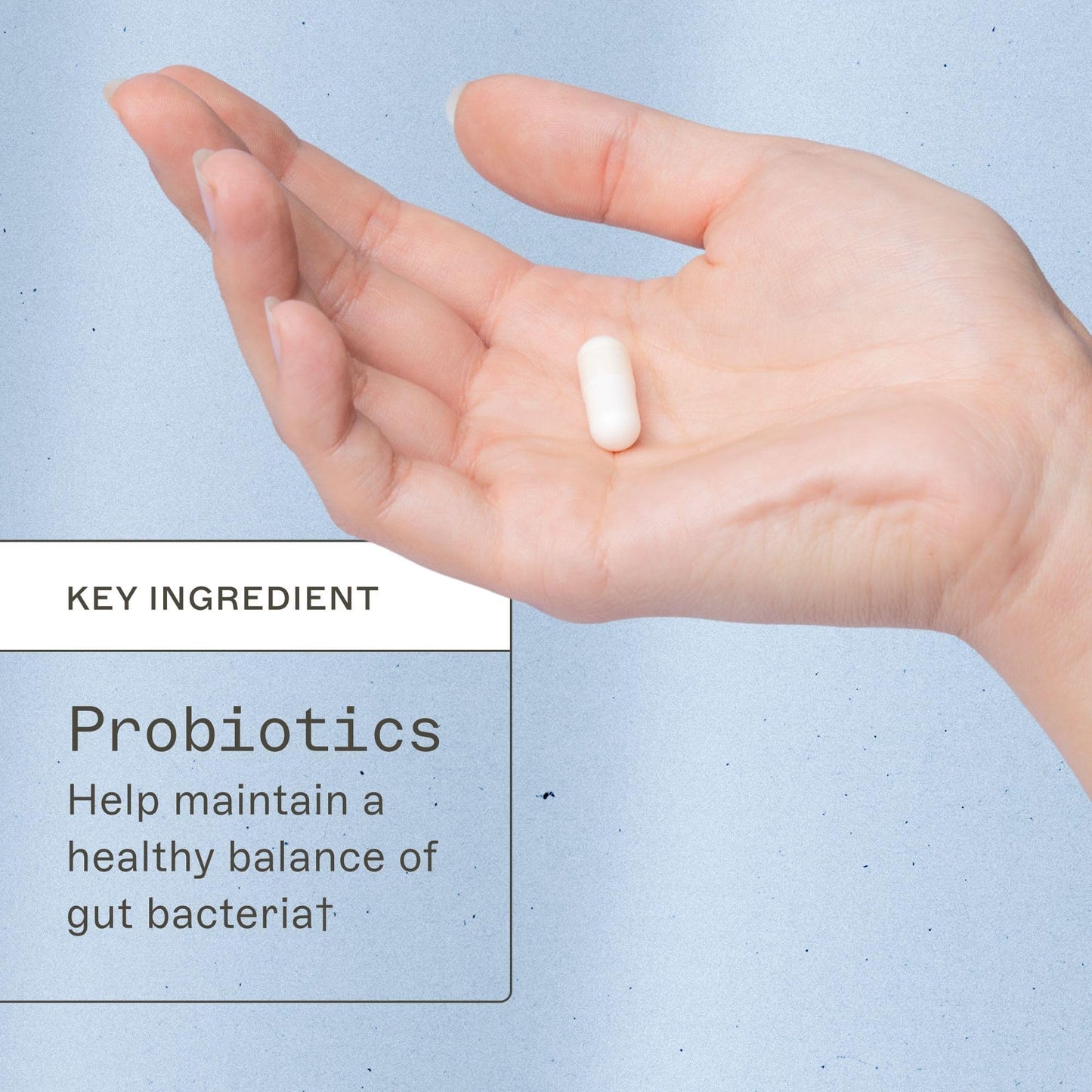 Amy Myers MD Primal Earth Probiotic Capsule 30 Capsules
