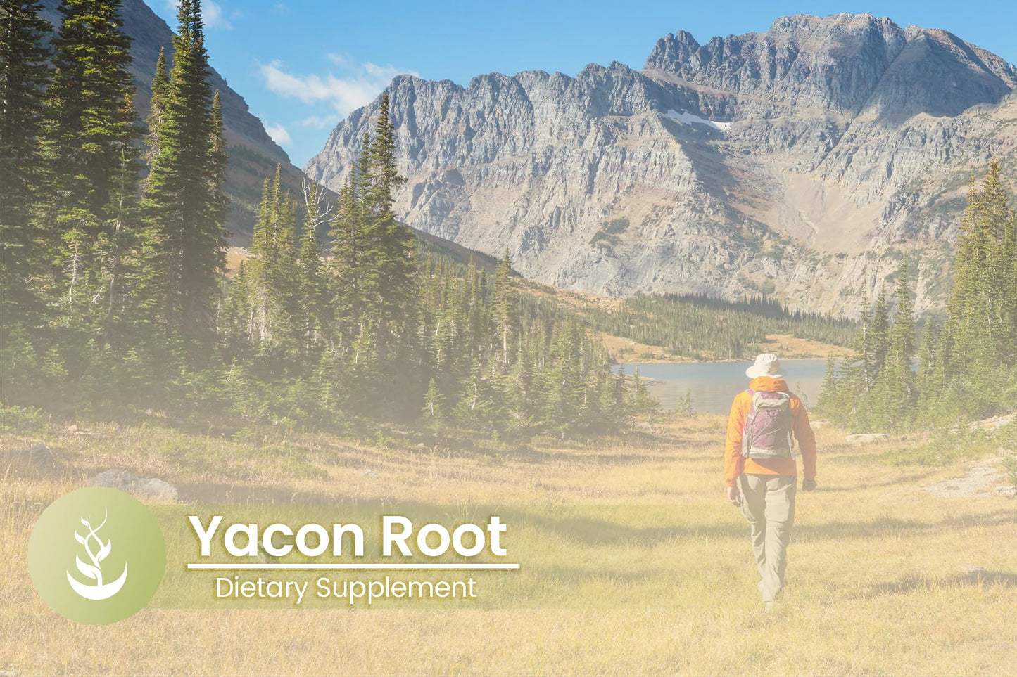 Pure Organic Ingredients Yacon Root Capsule 100 Count