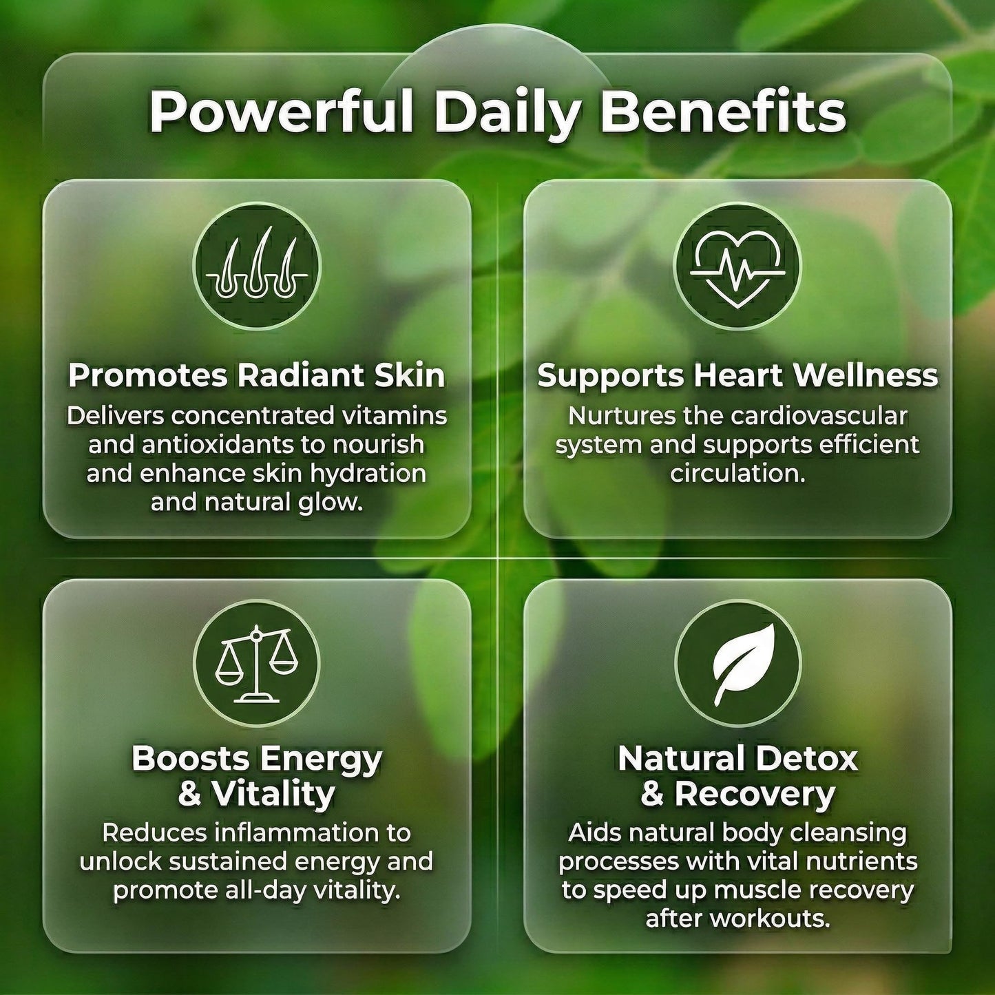 DOBI Moringa Capsules 240 Count
