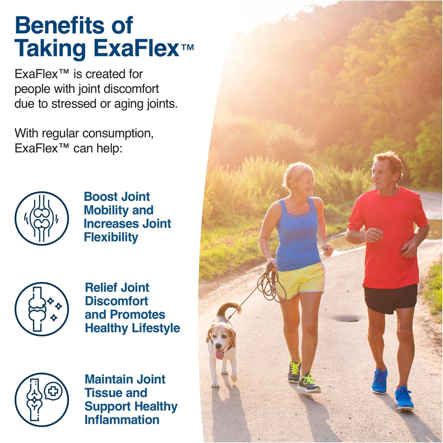 N-Labs ExaFlex Glucosamine Chondroitin MSM, Bromelain Capsules 60 Capsules
