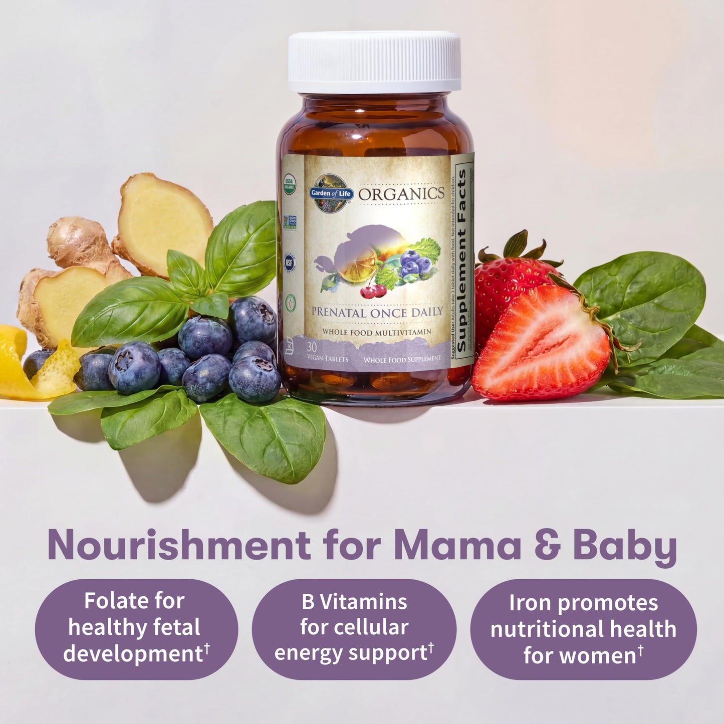 Garden of Life Organics Prenatal Vitamin Tablet 30 Count