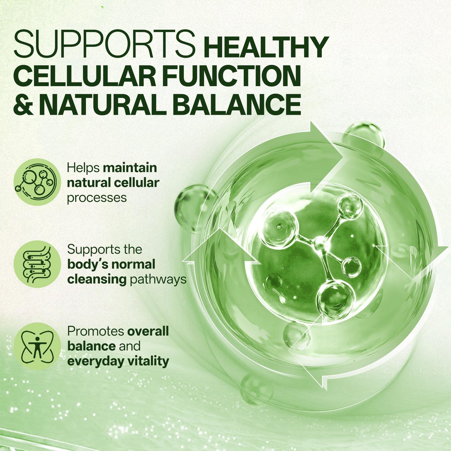 inGreens Liposomal Sulforaphane 500mg Supplement, 60 Capsules
