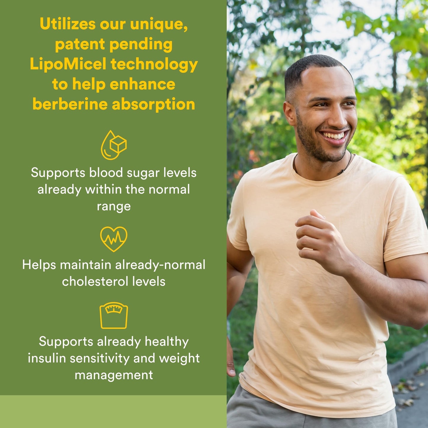 Natural Factors Berberine LipoMicel Matrix Softgels 90