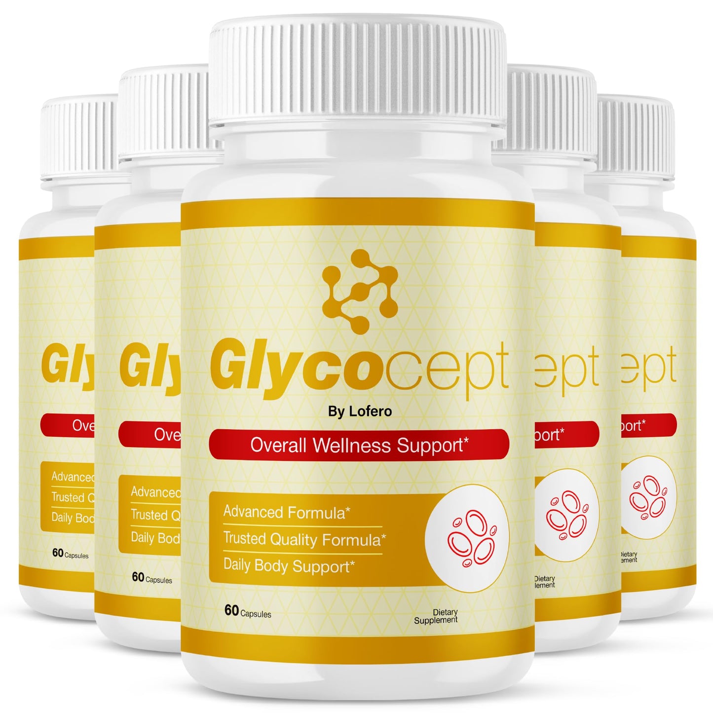 Lofero Glycocept Capsules 300 Count
