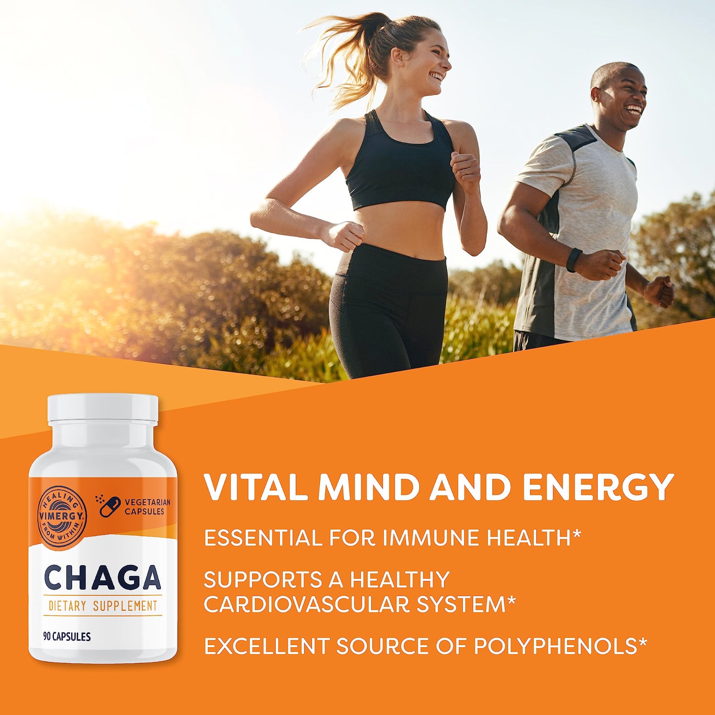 Vimergy Chaga Capsules 90 Count