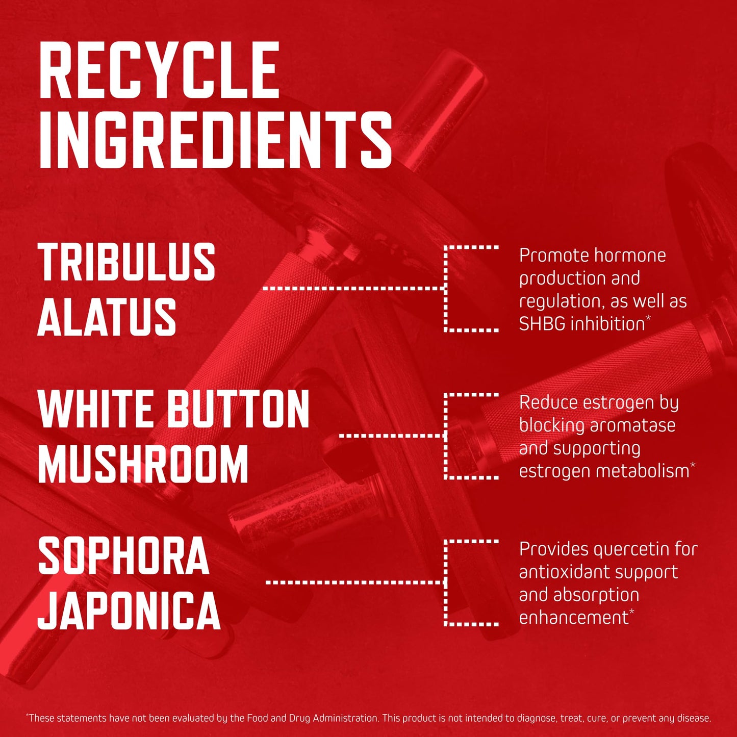Purus Labs Recycle Gelatin Capsules 100 Capsules