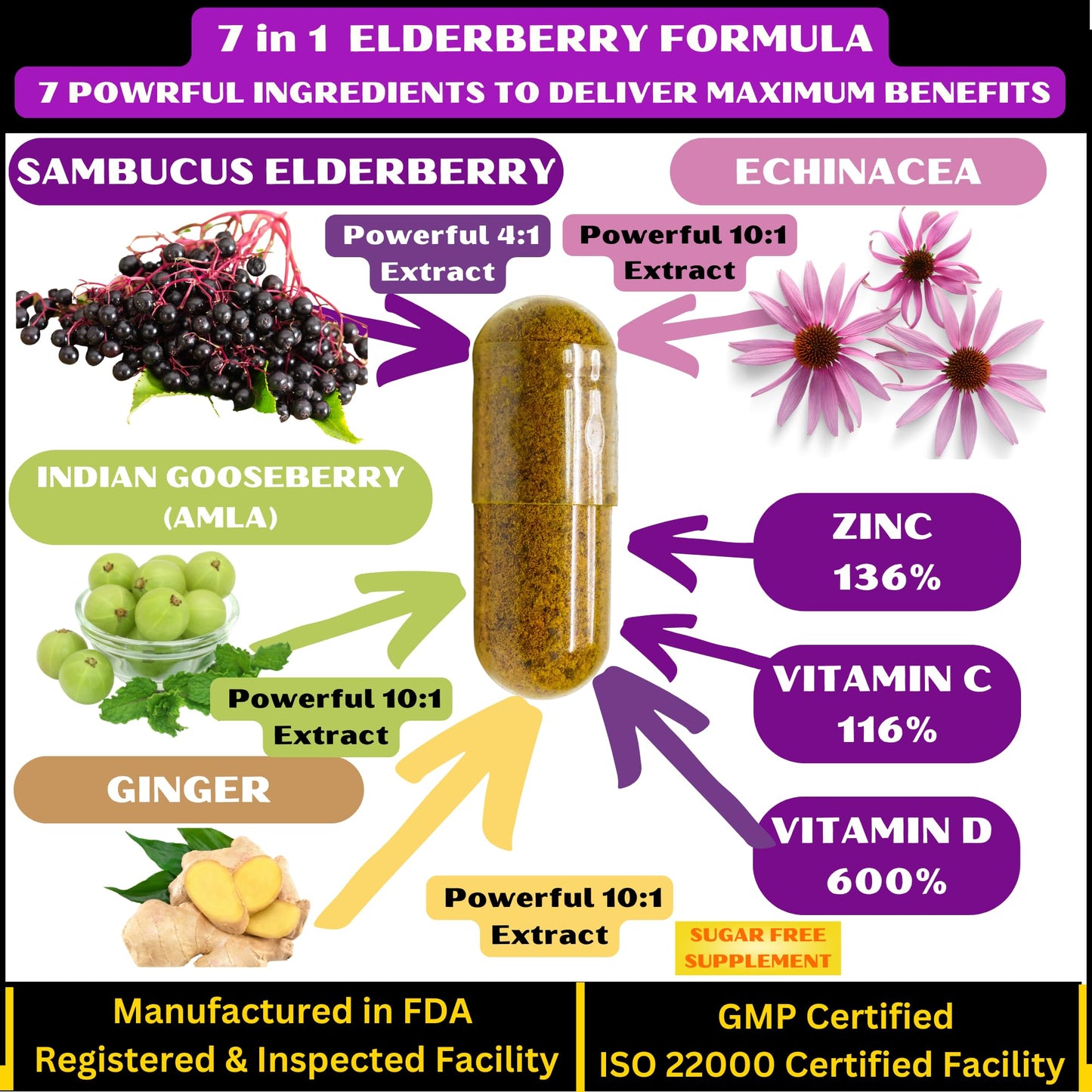 GoodlifePick Elderberry & Turmeric Capsules, 180 Count