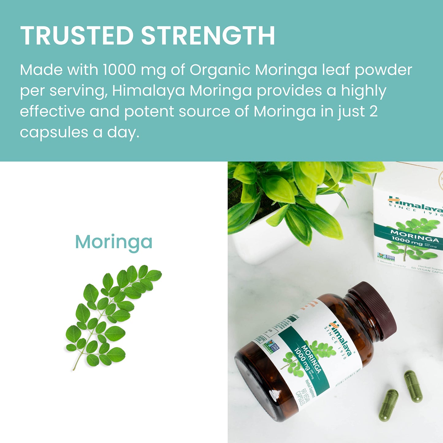 Himalaya Moringa Capsule 60 Capsules