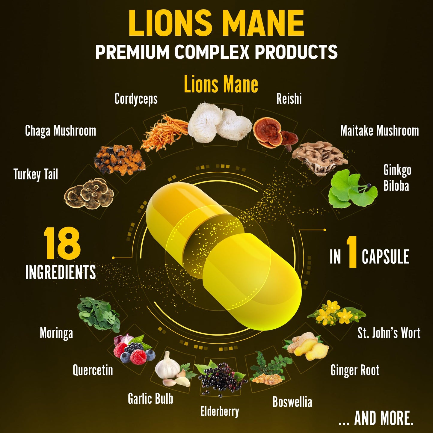 Zolotus Lions Mane Mushroom Capsules with Cordeyceps, Elderberry, Ginkgo Biloba, Bacopa, 60 Capsules
