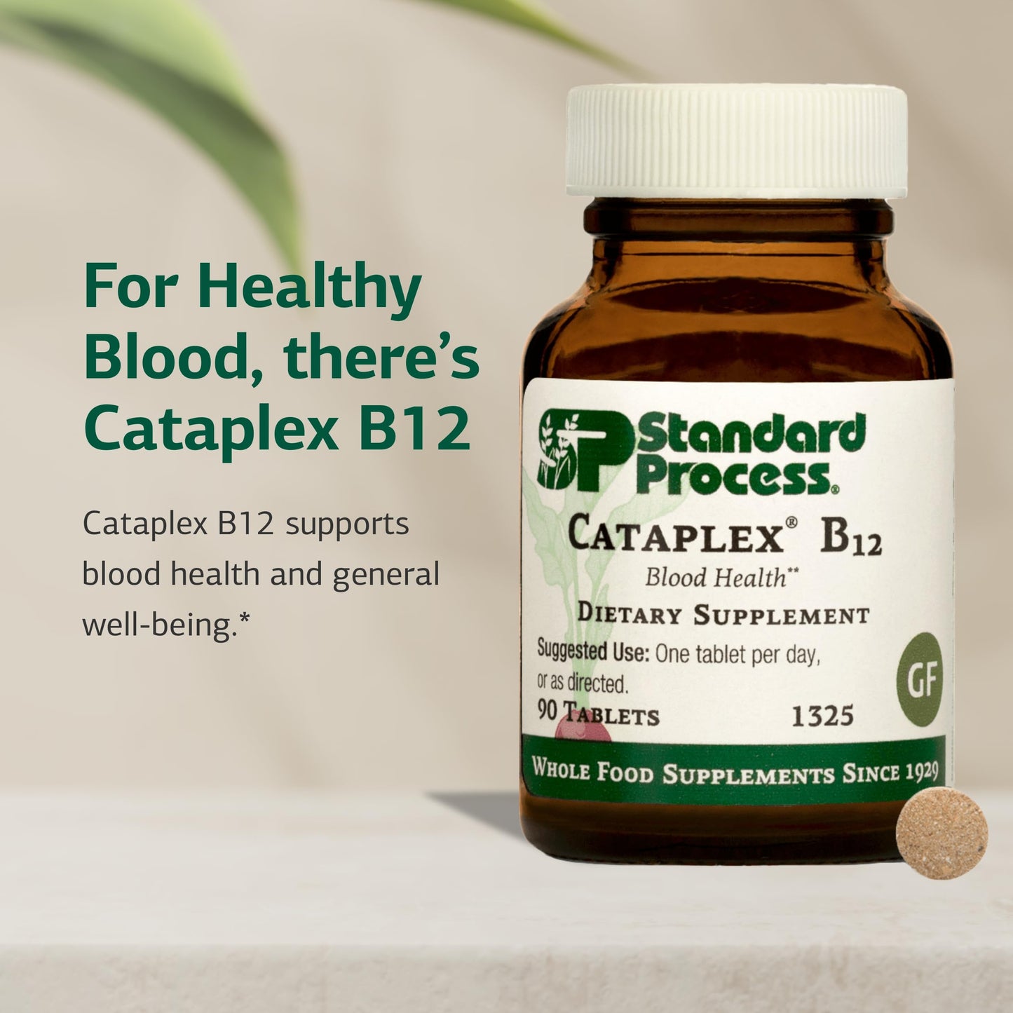 Standard Process Inc. Cataplex B12, Blood & Nervous System Support Tablet, 90 Count