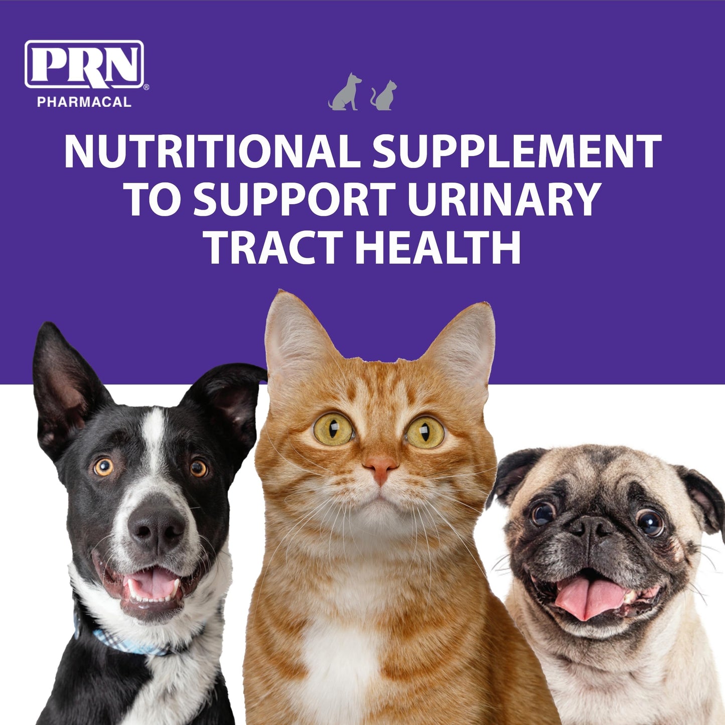 PRN CranMate Cranberry Supplement 180 Tablets