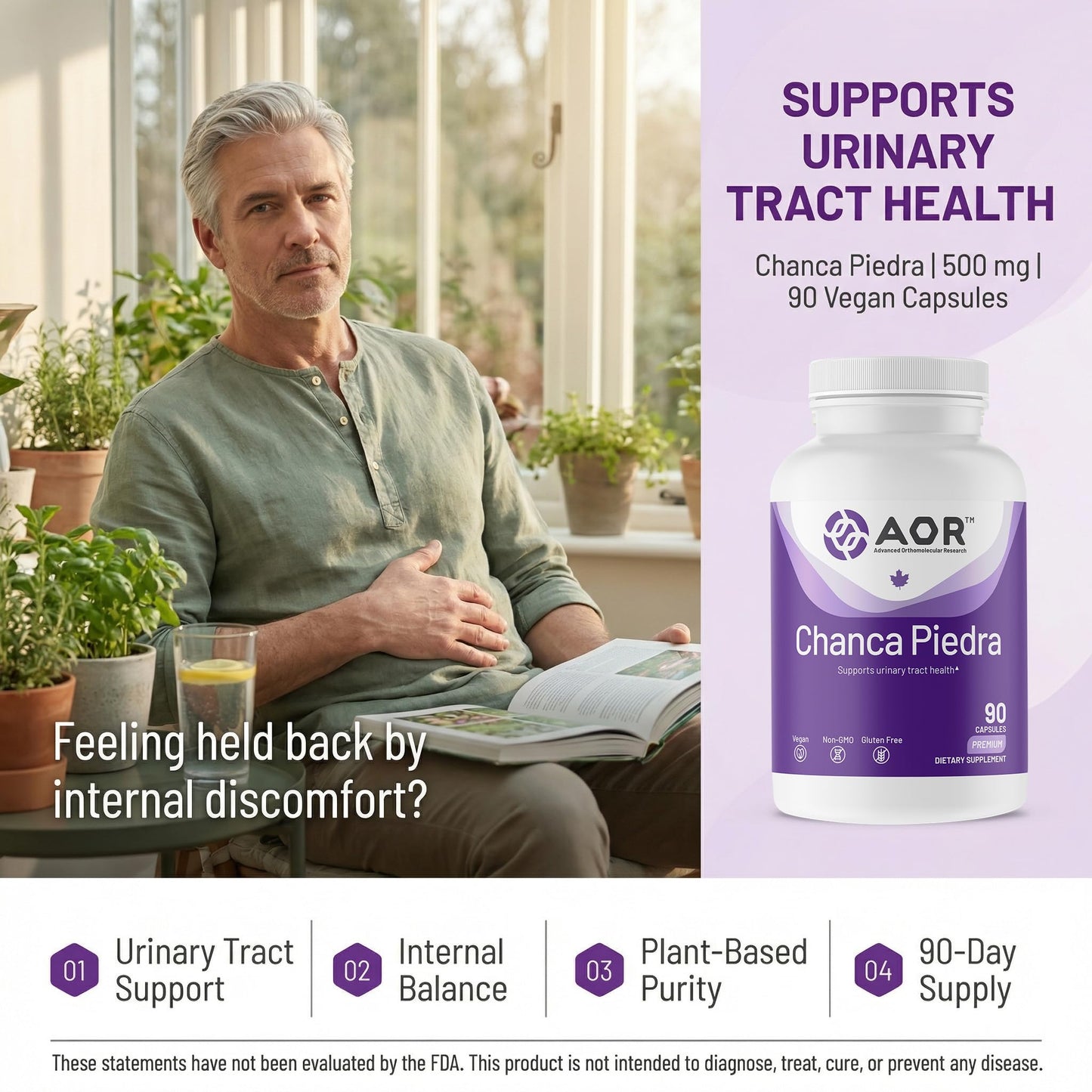 AOR Chanca Piedra 500mg Urinary Tract Support, 90 Capsules