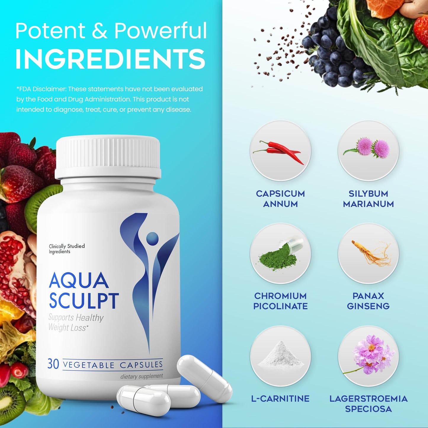 AquaSculpt Energy Support Healthy Metabolism Capsule, 90 Capsules