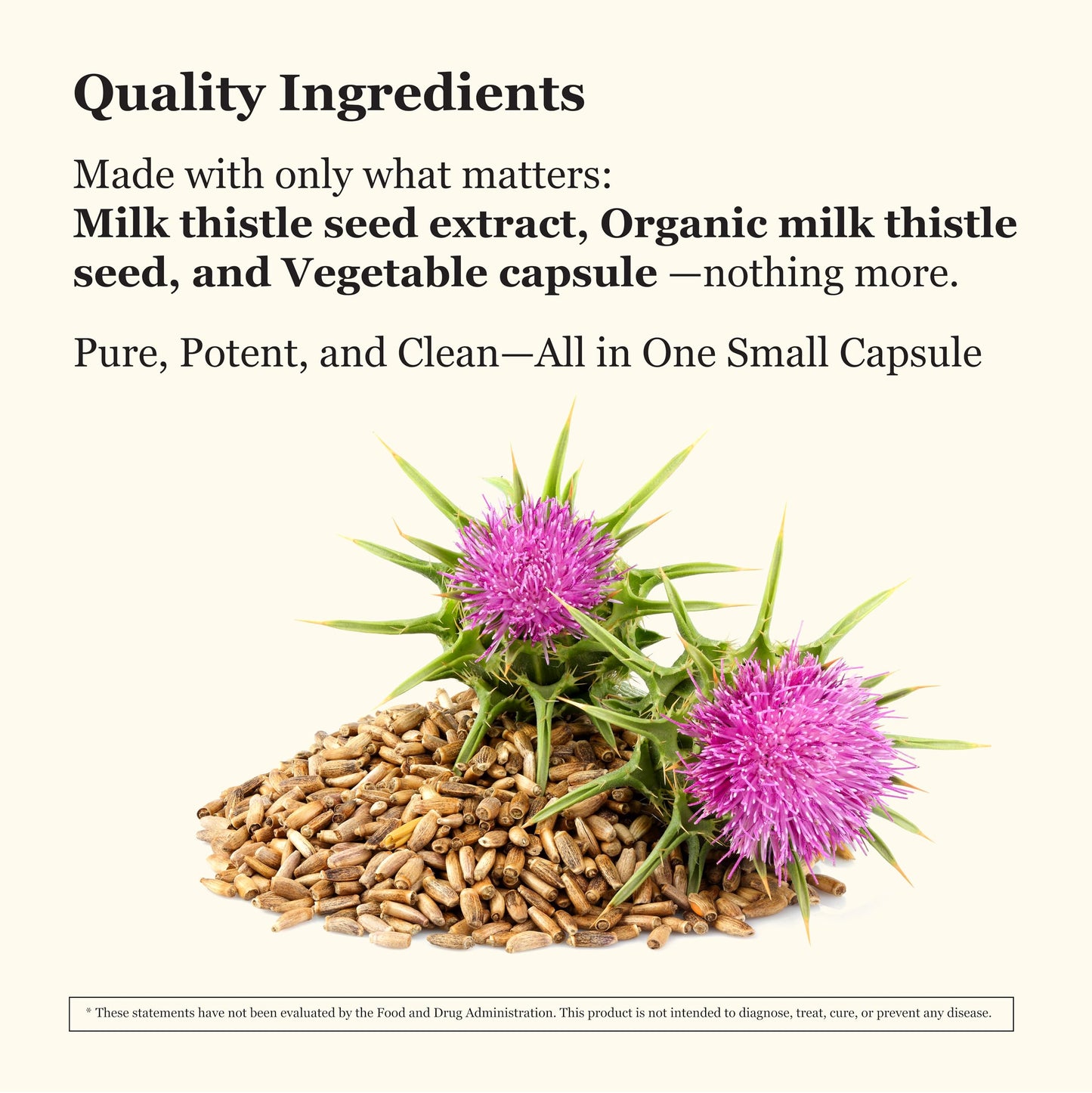 Tradewind Naturals Milk Thistle Supplement Capsule 90 Count