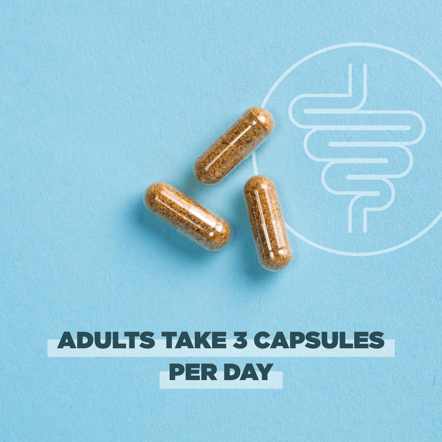 Ancient Nutrition Regenerative Organic Certified Leaky Gut Capsule, 90 Count