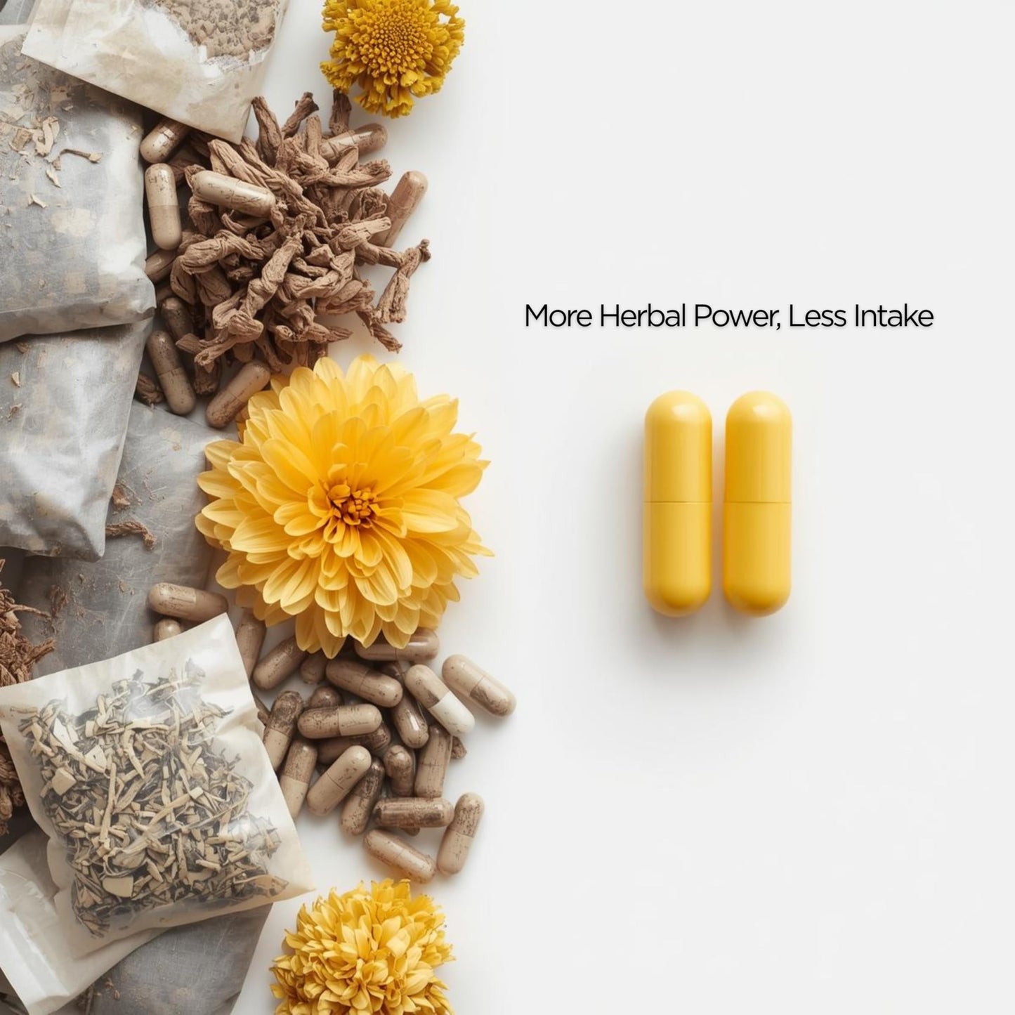 Nourafia Chrysanthemum Flower Extract Capsules 120 Capsules