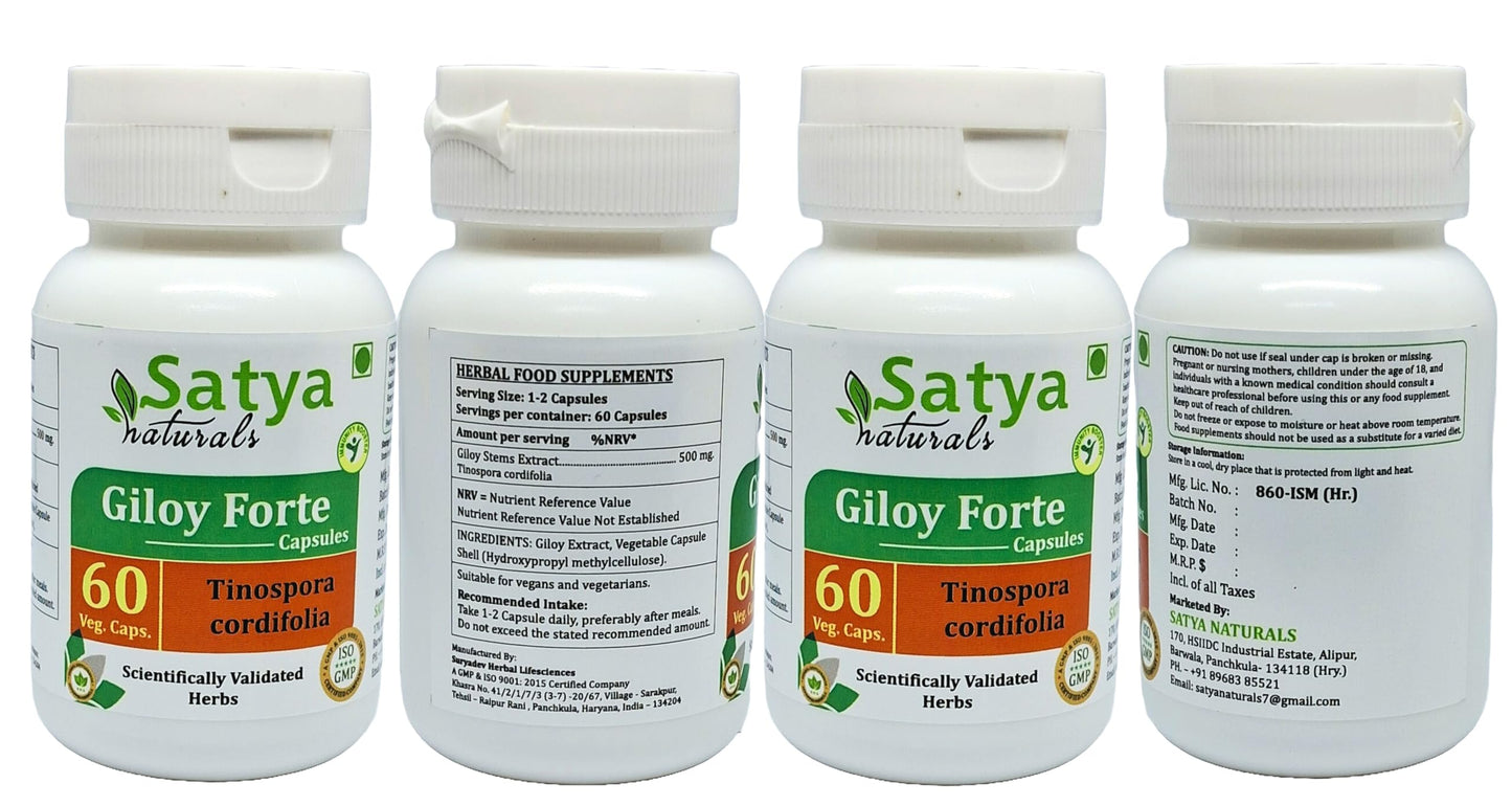 Satya Naturals Giloy Forte 500 mg Capsules, 240 Count
