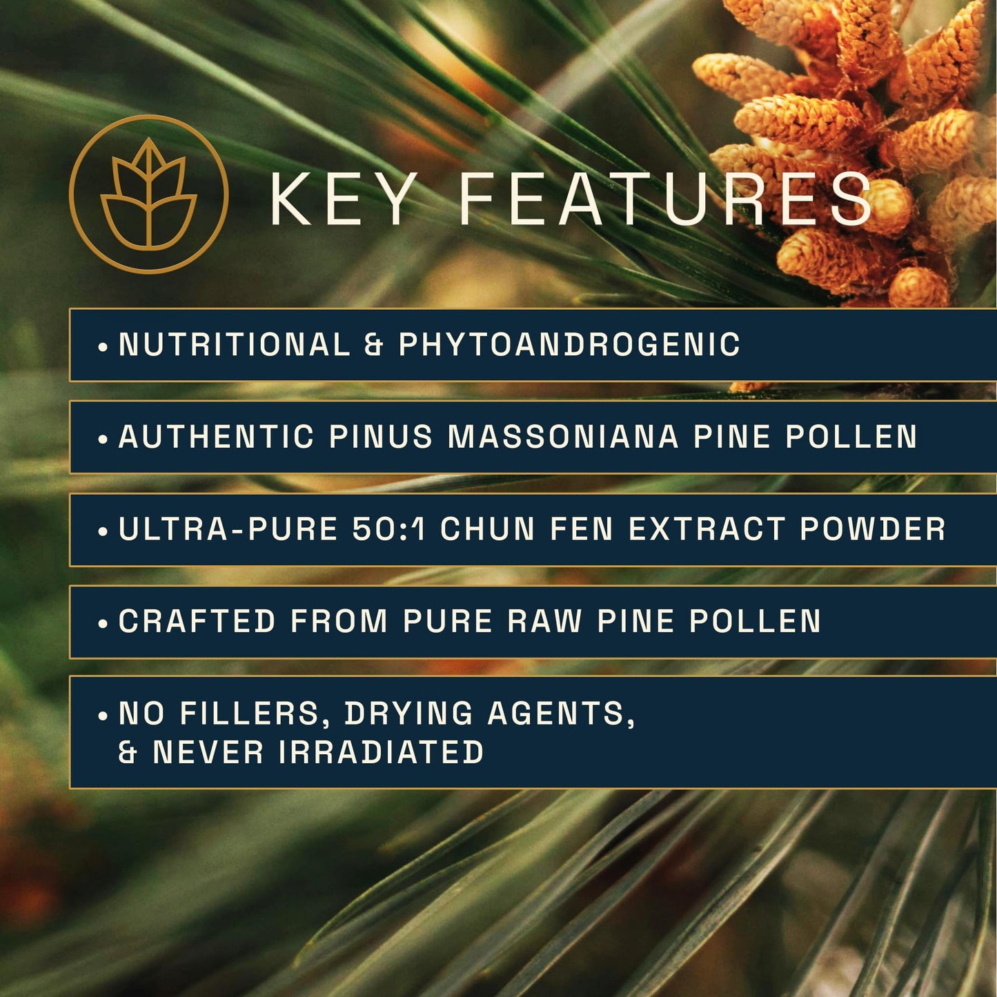 RAW Forest Foods Pine Pollen Extract Capsules, 120 Count
