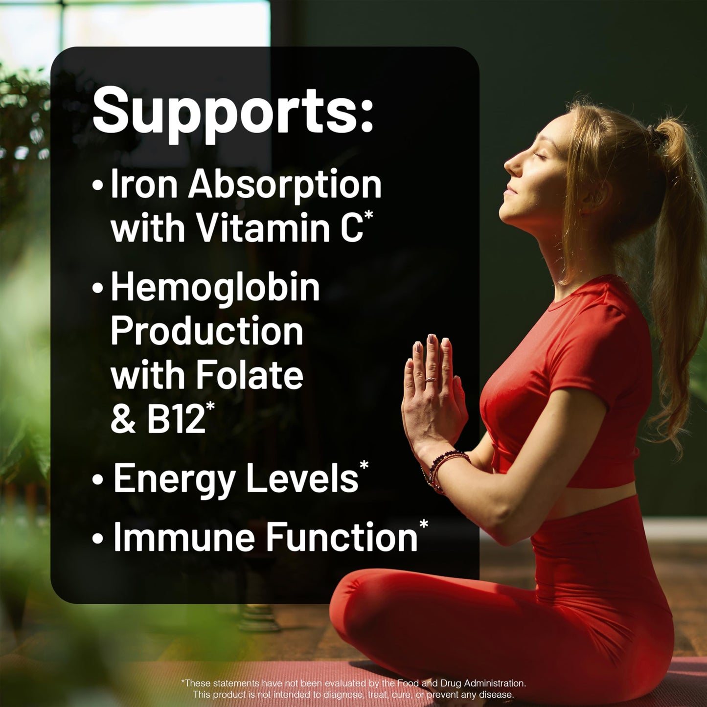 NatureWise Vegan Iron Supplement Tablets 30 Count