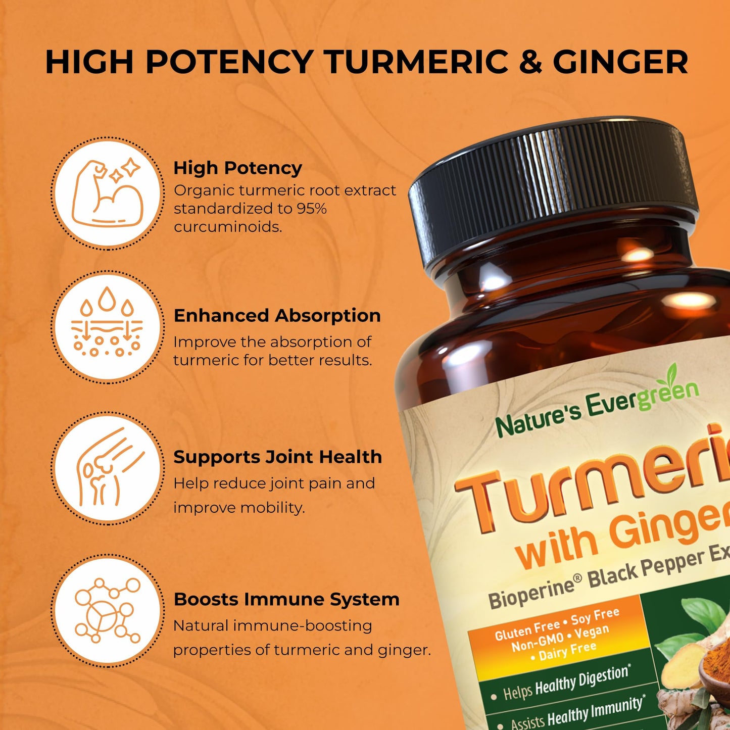 Nature's Evergreen Turmeric with Ginger Root Joint Support Supplement Capsule, 1 Count