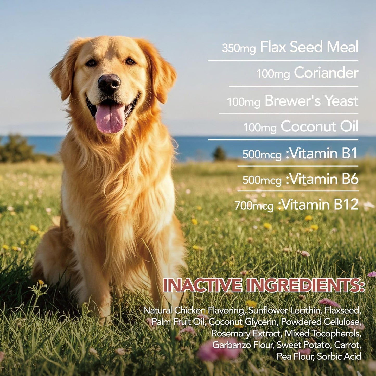 MEGNETA Flea and Tick Support for Dogs Chewable 90 Count