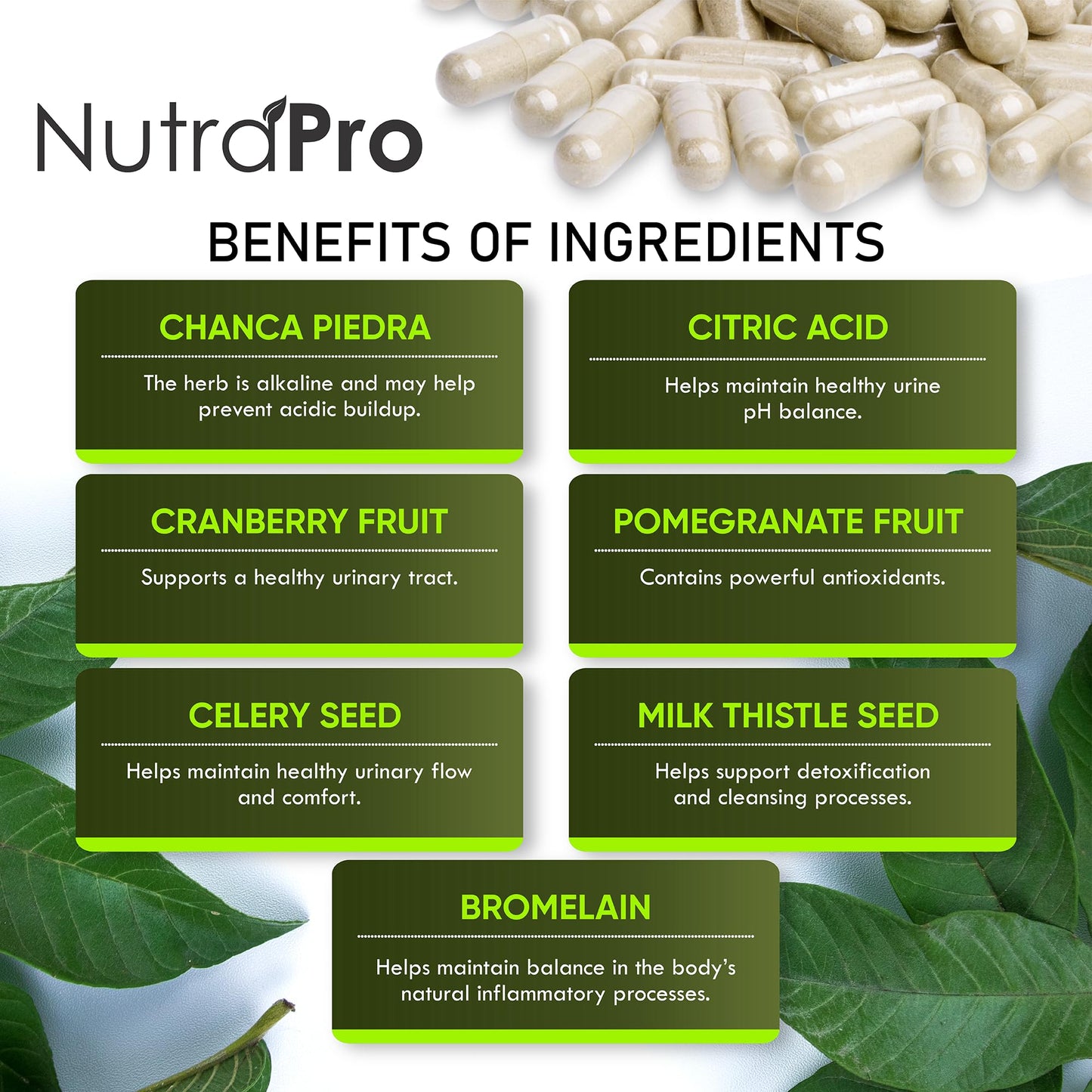 NutraPro Urinary Tract Health & Bladder Support for Women 60 Capsules