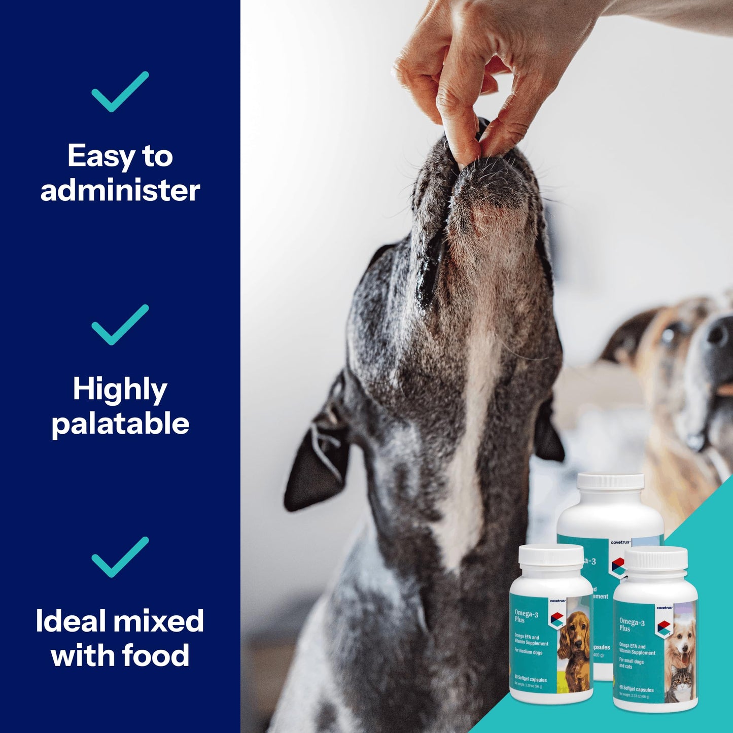 Covetrus Omega-3 Capsules for Large Dogs – Essential Fatty Acids with Vitamins A, E & D3 – Skin, Coat & Joint Supplement, 60 Count