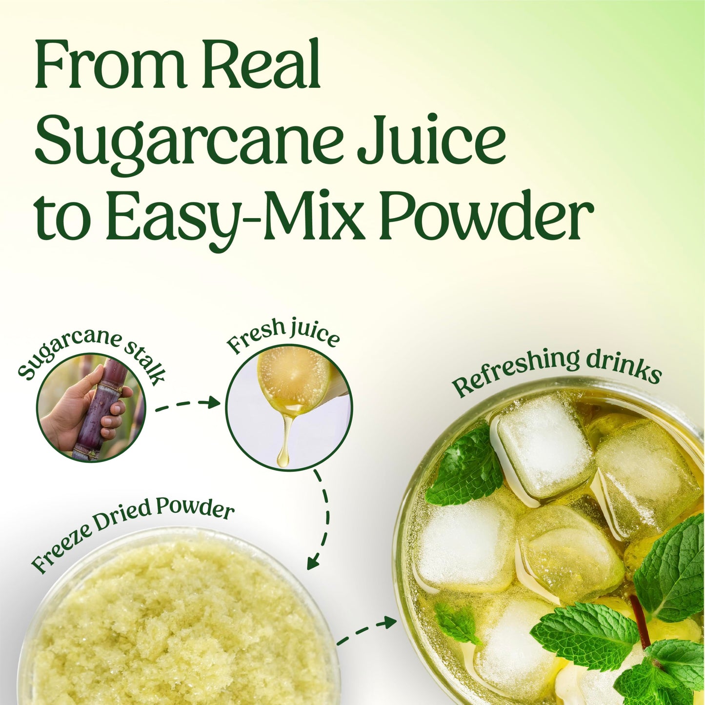 Vinamit Freeze Dried Sugarcane Juice Powder 14 oz