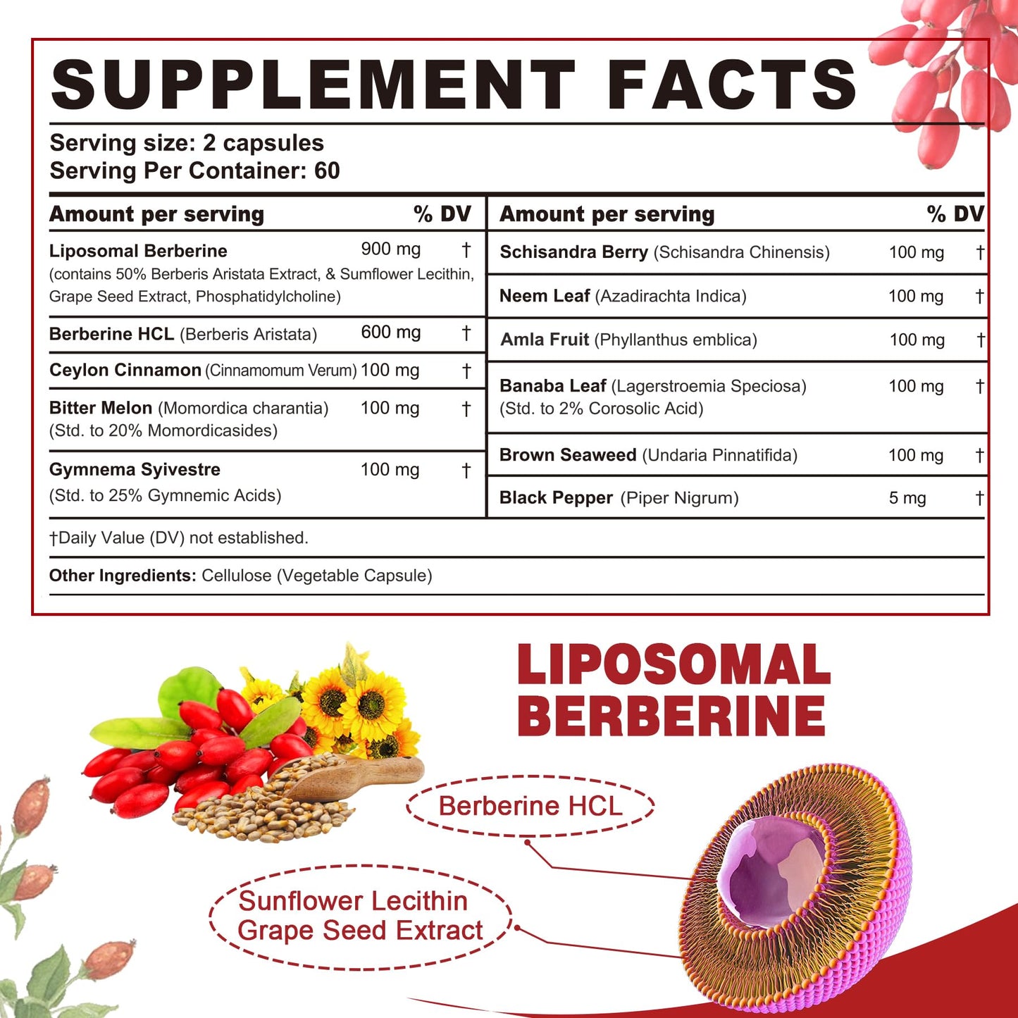 Nextdia Berberine Supplement Organic 1500mg with Ceylon Cinnamon Bitter Melon, Liposomal Berberine HCL Complex Supplements, Immune & Digestive Support - Non-GMO, Organic, Vegan, 120 Capsules