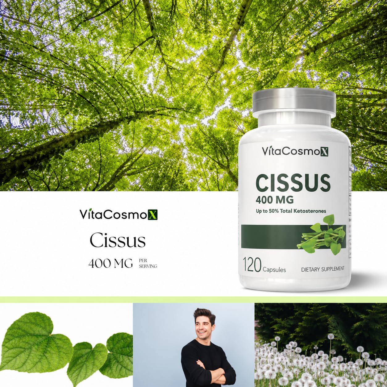 VitaCosmoX Cissus Quadrangularis Extract Capsule, 120 Count
