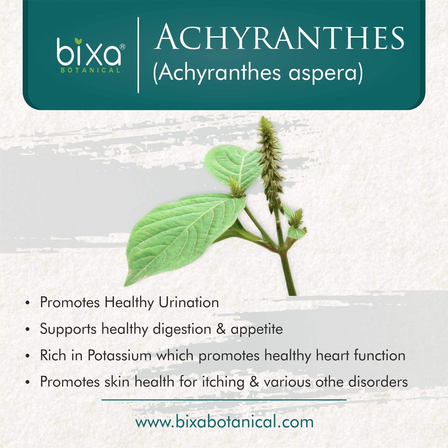 bixa BOTANICAL Achyranthes Aspera Powder, 14 oz