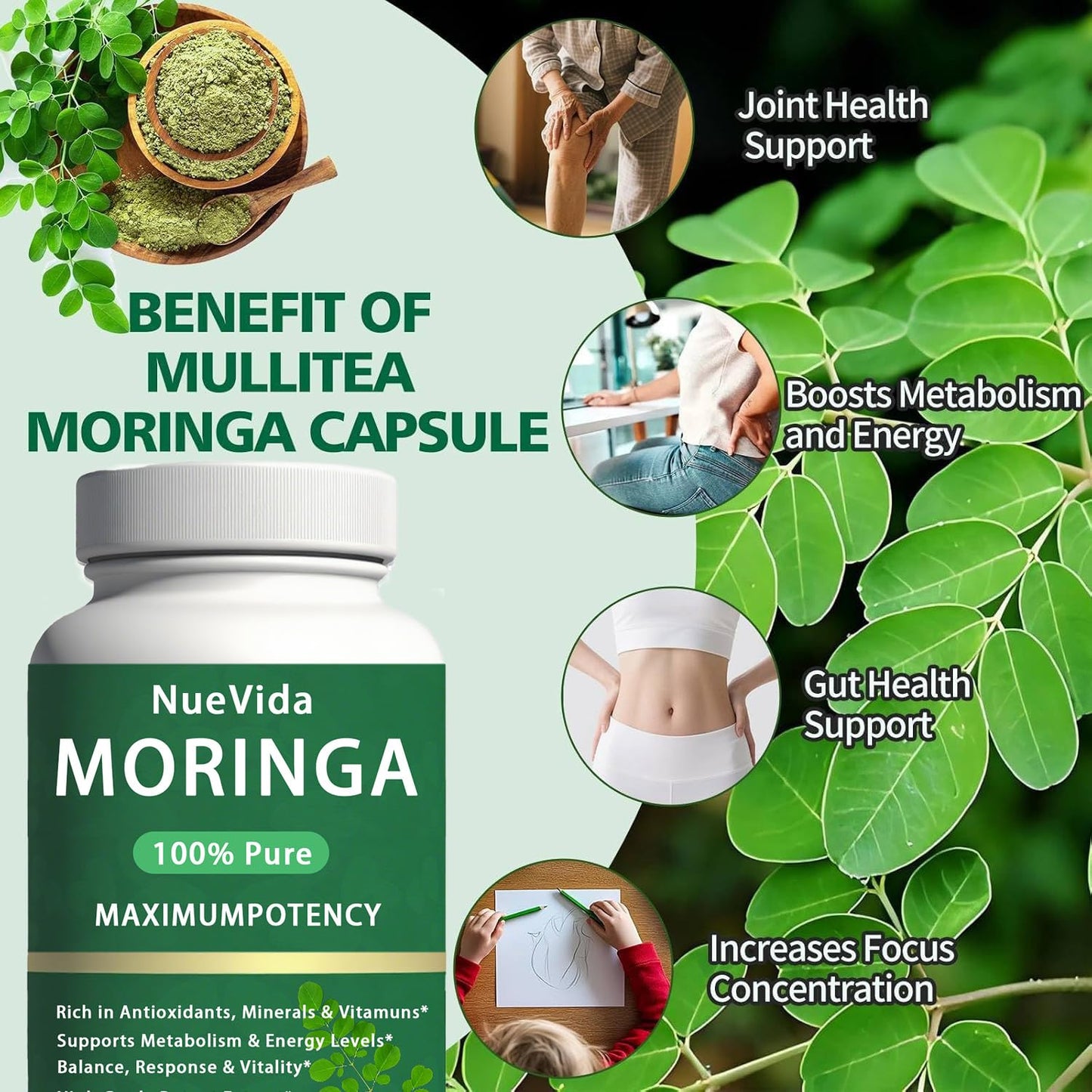 Megacephalus Cortivia Pure Moringa Capsules, 90 Capsules