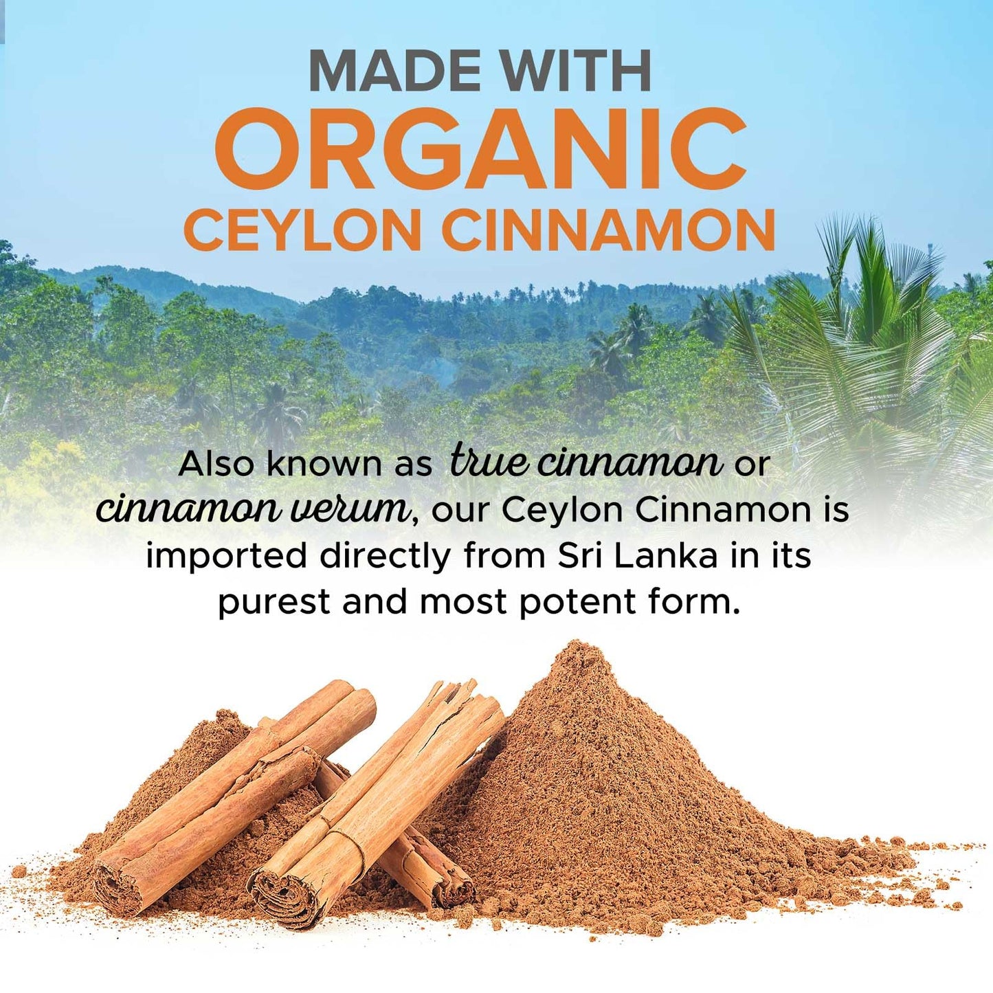 Nature's Choice Ceylon Cinnamon Capsules, 60 Count