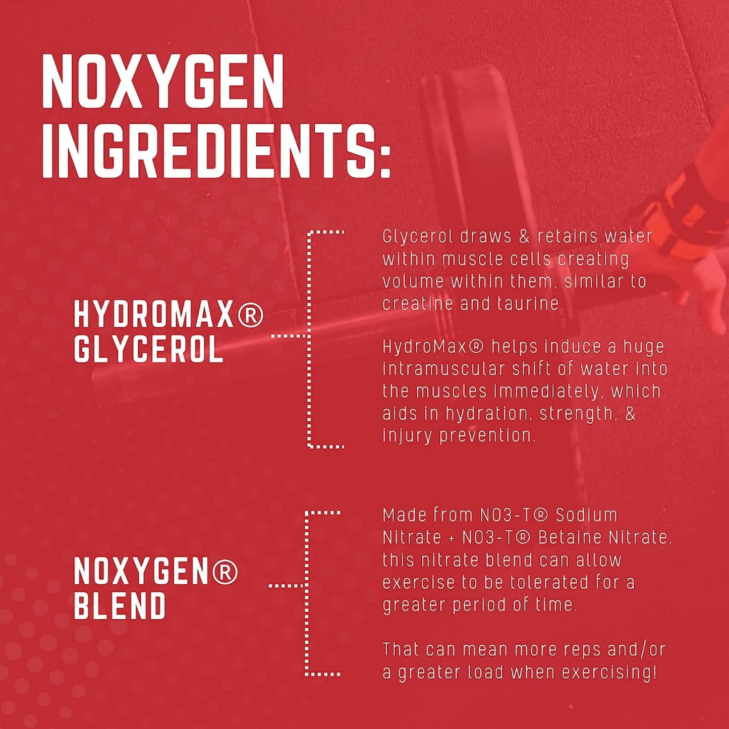 Purus Labs NOXygen Powder Pre-Workout Accelerator, 40 Servings