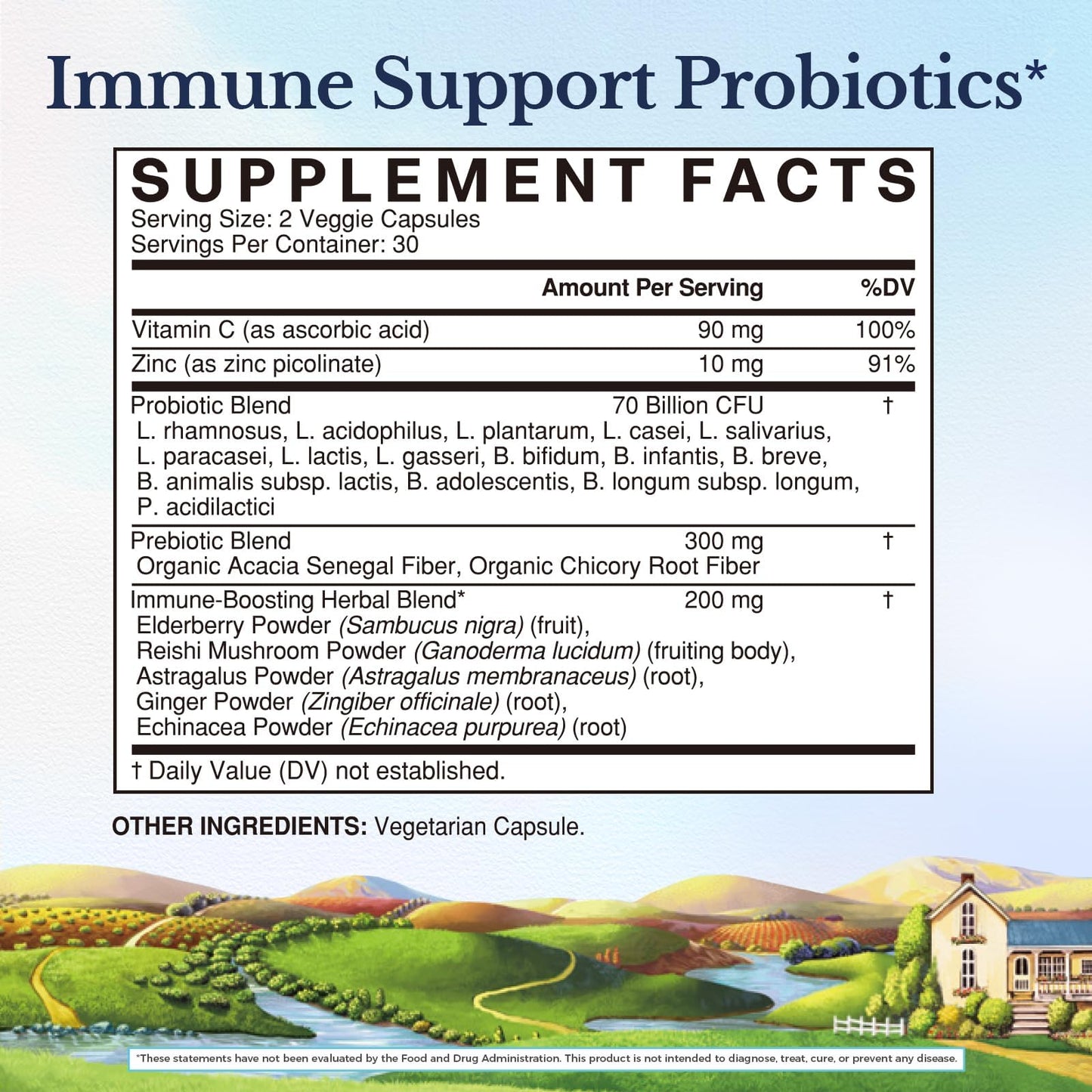 Vitalitown Probiotics 70 Billion CFU Capsule, 60 Count