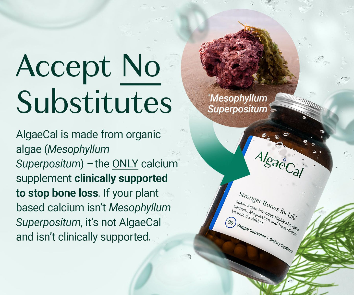 ALGAECAL Vitality Bundle - Free 4-in-1 Vitamin D3 Complete & Plant-Based Calcium with 13 Bone-Supporting Minerals, Clinically Shown to Stop Bone Loss, Immune & Whole Body Wellness, 330 Capsules