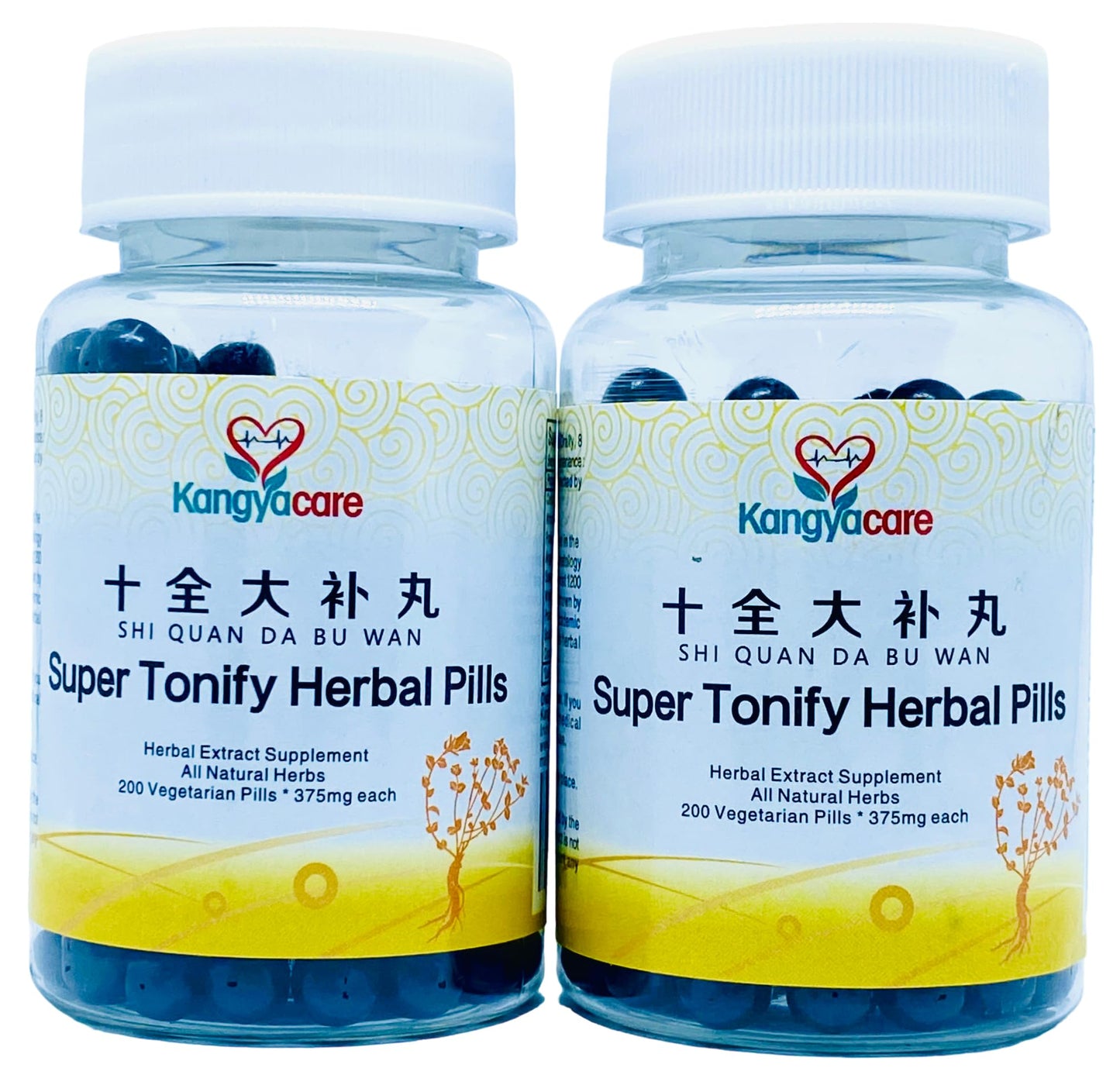 Kangyacare Shi Quan Da Bu Wan Tablets 400 Tablets