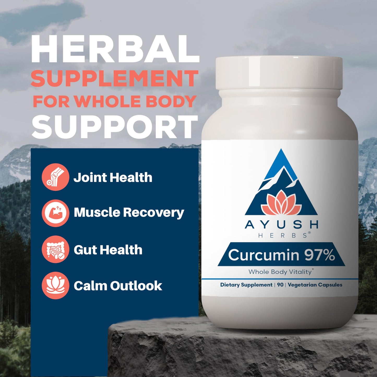 Ayush Herbs Curcumin 97% Capsules, 90 Capsules