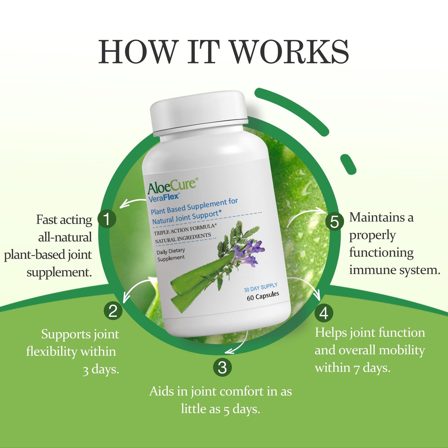 AloeCure VeraFlex Natural Joint Support Capsules, 6 Bottles