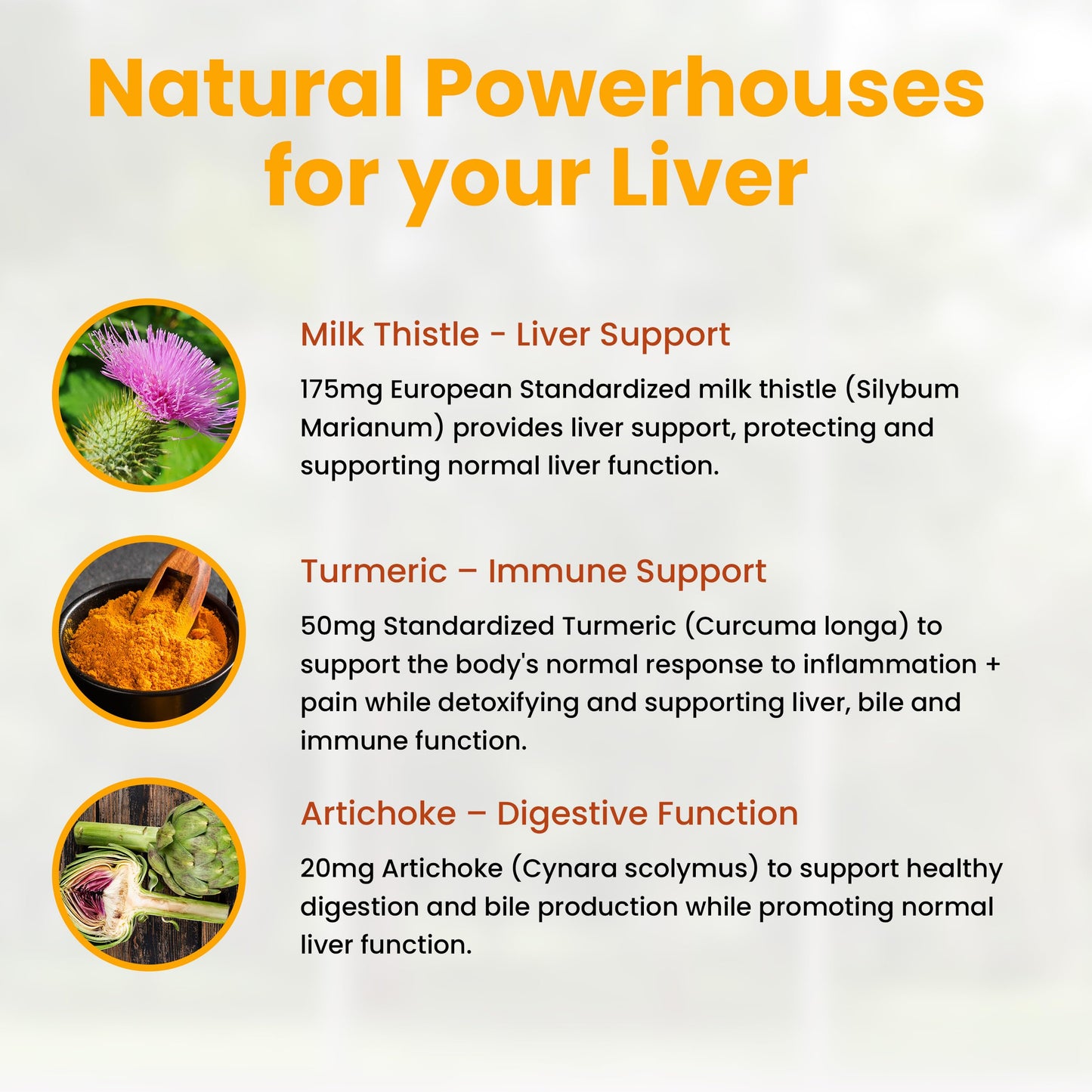 Natural Wellness Milk Thistle with Artichoke & Turmeric Capsule, 90 Count